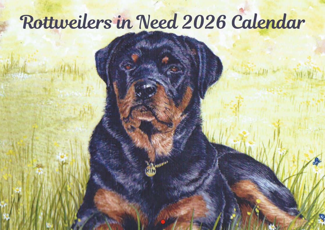 2026
